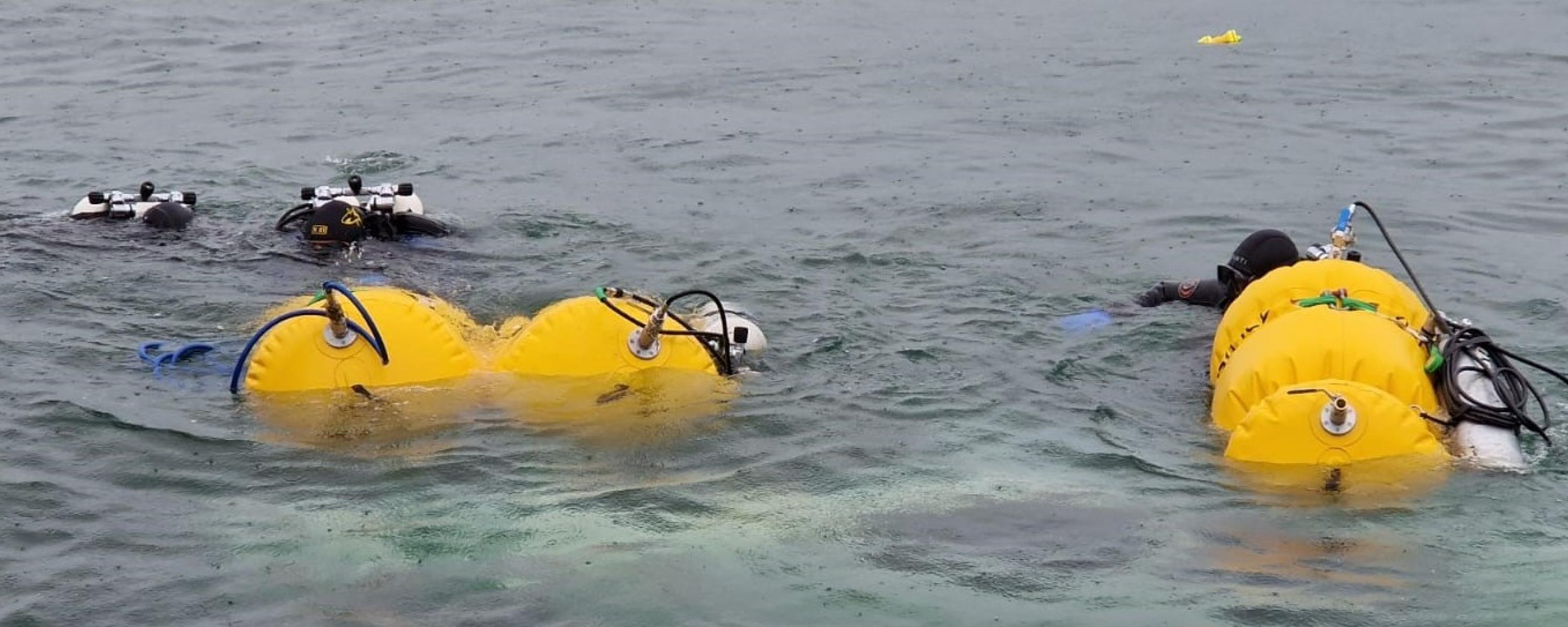 Tauchschwimmer am Tauchen